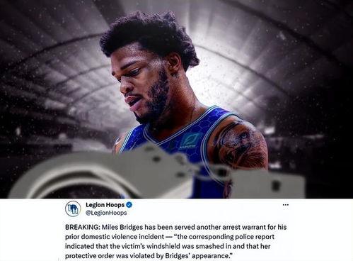 迈尔斯最新爆料新闻视频,揭秘事件背后惊人真相